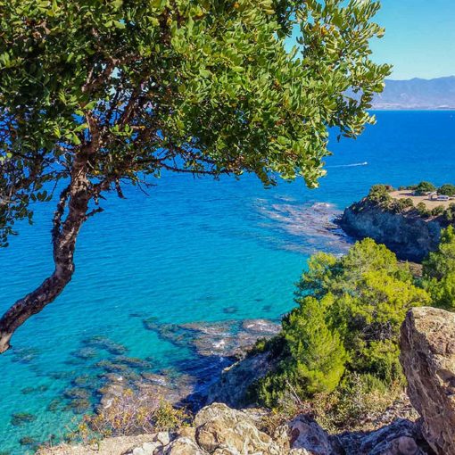 Paphos remains the most popular destination for the foreign property buyers